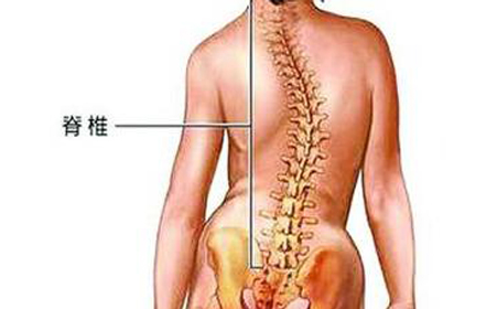 强直性脊柱炎会造成的危害有哪些